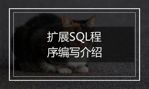扩展SQL程序编写介绍