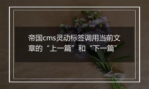 帝国cms灵动标签调用当前文章的“上一篇”和“下一篇”