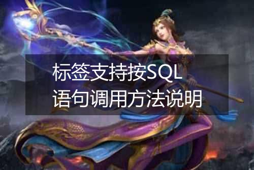 标签支持按SQL语句调用方法说明