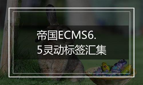 帝国ECMS6.5灵动标签汇集