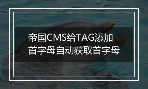 帝国CMS给TAG添加首字母自动获取首字母