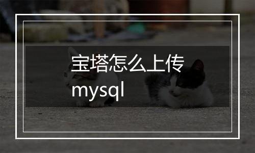 宝塔怎么上传mysql