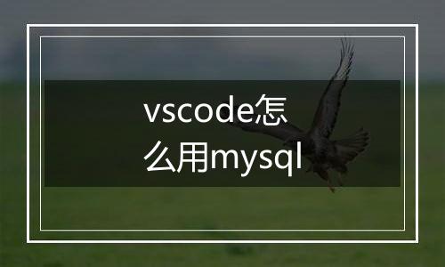 vscode怎么用mysql