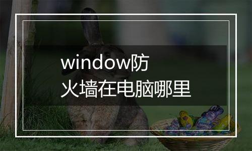 window防火墙在电脑哪里