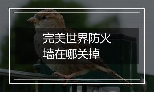 完美世界防火墙在哪关掉