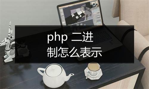 php 二进制怎么表示