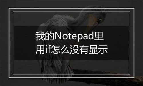 我的Notepad里用if怎么没有显示