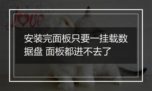 安装完面板只要一挂载数据盘 面板都进不去了