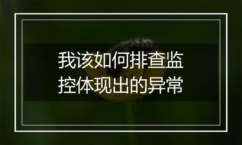 我该如何排查监控体现出的异常