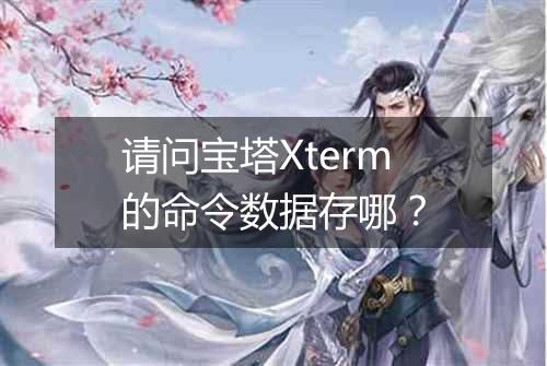 请问宝塔Xterm的命令数据存哪?