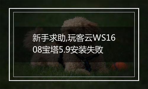 新手求助,玩客云WS1608宝塔5.9安装失败