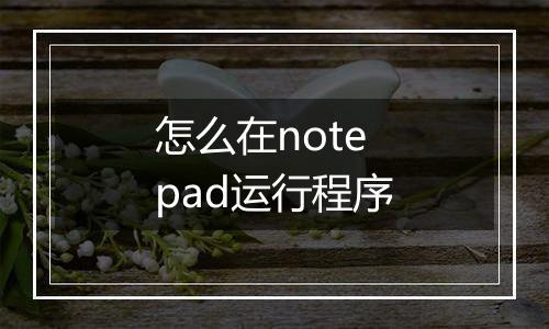怎么在notepad运行程序
