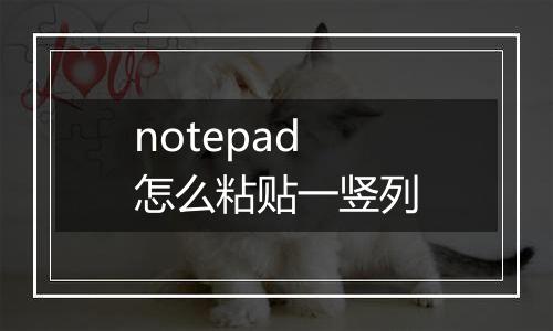 notepad怎么粘贴一竖列