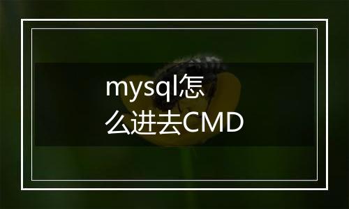 mysql怎么进去CMD