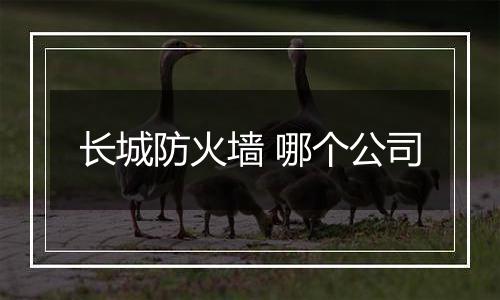 长城防火墙 哪个公司