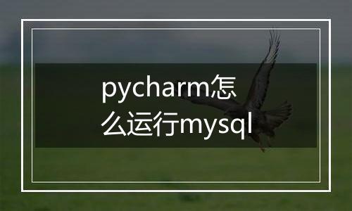 pycharm怎么运行mysql