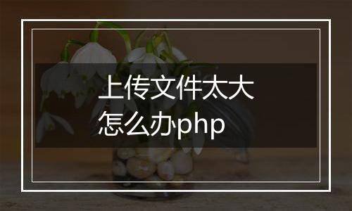 上传文件太大怎么办php