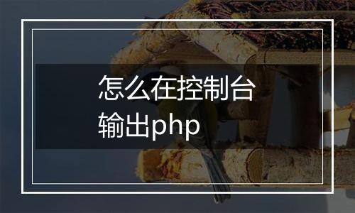 怎么在控制台输出php