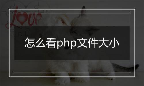 怎么看php文件大小
