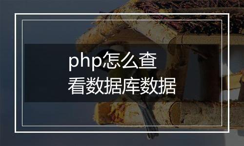 php怎么查看数据库数据