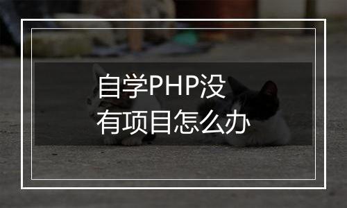 自学PHP没有项目怎么办