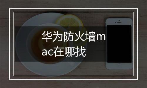 华为防火墙mac在哪找