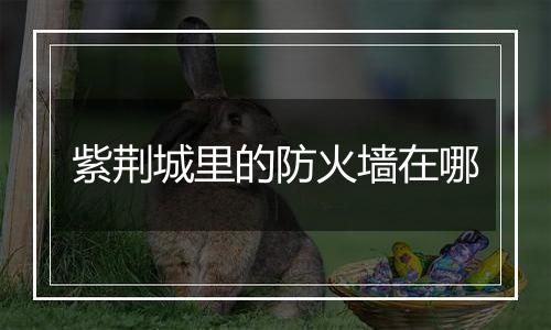 紫荆城里的防火墙在哪