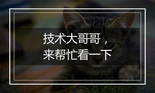 技术大哥哥,来帮忙看一下