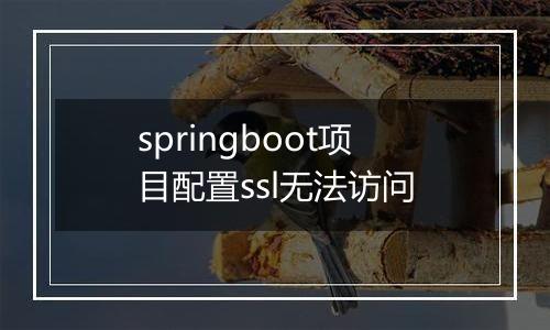 springboot项目配置ssl无法访问