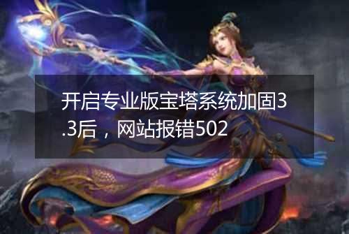开启专业版宝塔系统加固3.3后,网站报错502