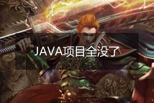 JAVA项目全没了
