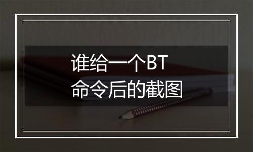谁给一个BT命令后的截图