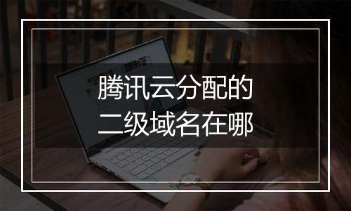 腾讯云分配的二级域名在哪