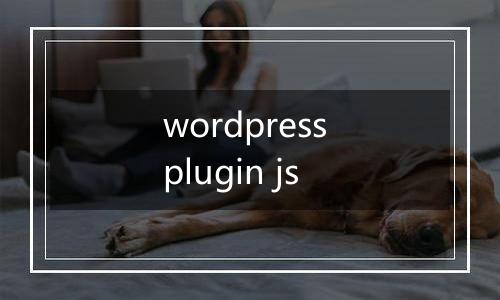 wordpress plugin js