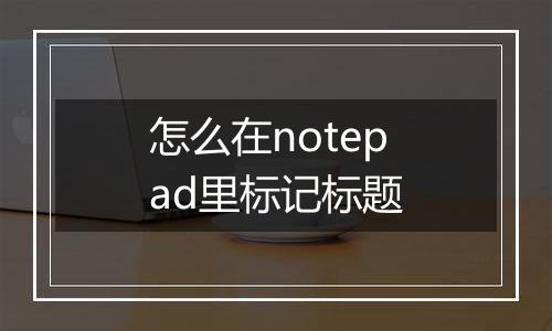 怎么在notepad里标记标题