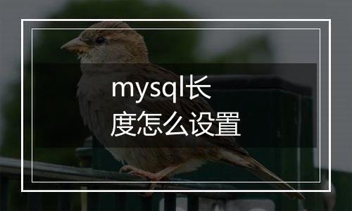 mysql长度怎么设置