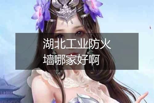 湖北工业防火墙哪家好啊