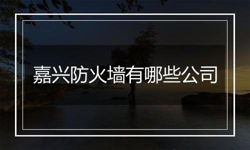 嘉兴防火墙有哪些公司