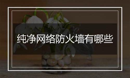 纯净网络防火墙有哪些