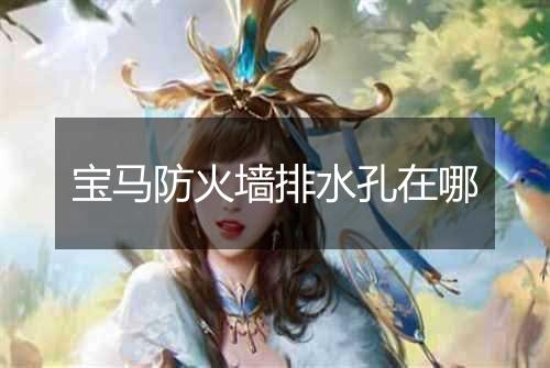 宝马防火墙排水孔在哪