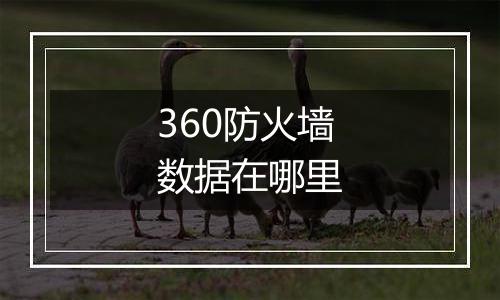 360防火墙数据在哪里