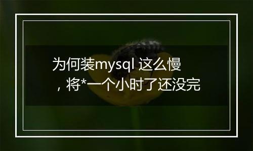 为何装mysql 这么慢,将*一个小时了还没完