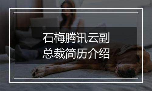 石梅腾讯云副总裁简历介绍