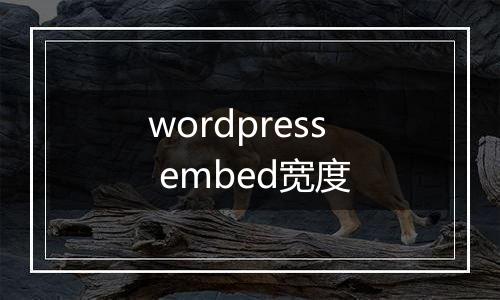 wordpress embed宽度
