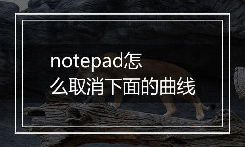 notepad怎么取消下面的曲线