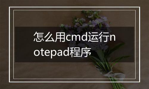 怎么用cmd运行notepad程序