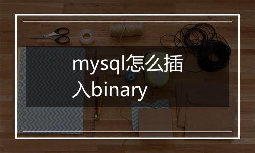 mysql怎么插入binary