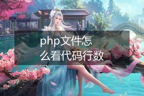 php文件怎么看代码行数