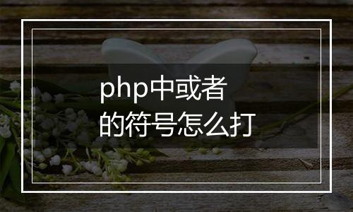 php中或者的符号怎么打