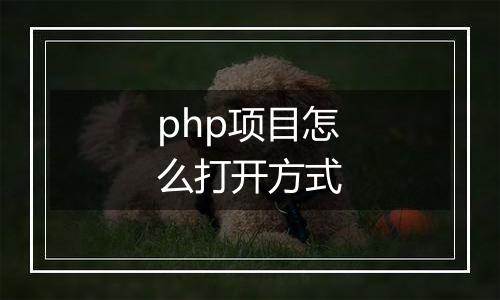php项目怎么打开方式